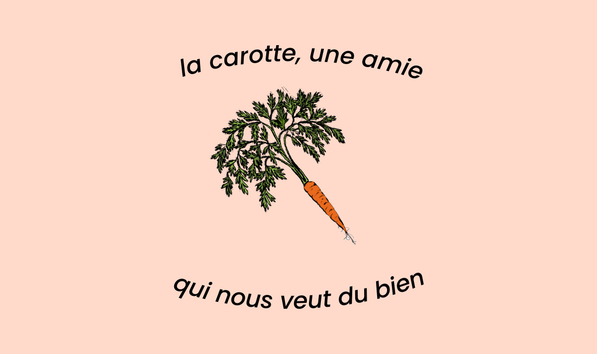 Les bienfaits de la carottes